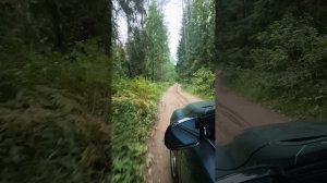 короче поиграли Мы в приставку я поехал обратно домой на дороге