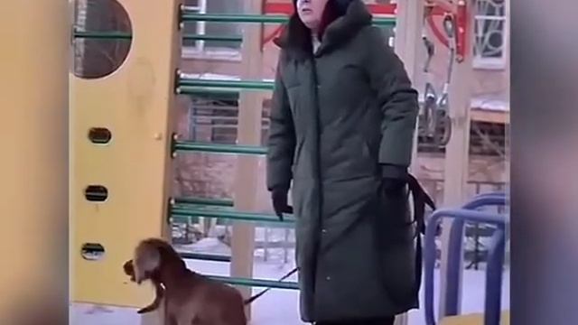 Что она без намордника, вдруг агрессивная
