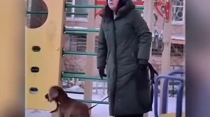 Что она без намордника, вдруг агрессивная