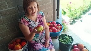 Сделала томатный сок по- вашему совету //  Вот вам и ответ !