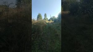 Молодой Туд. Толкачёвка