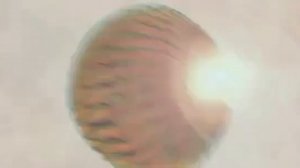 Filmnation entertainment