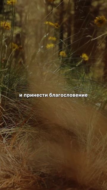 Стань родоначальником линии благословения для поколений после тебя #христианство #благословение