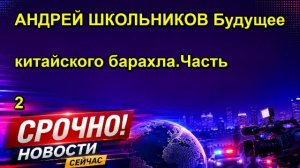 АНДРЕЙ ШКОЛЬНИКОВ Будущее китайского барахла.Часть 2