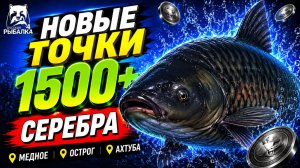 🤑 ТОП-3 ТОЧКИ ФАРМА и РАЗДАЧИ ТРОФОВ РР4 (12.08)! СВОДКА по ВОДОЕМАМ! МЕДНОЕ • ОСТРОГ• АХТУБА