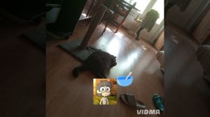 тоже монтаж ( плохой)