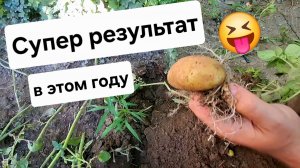 Копаем кортошку