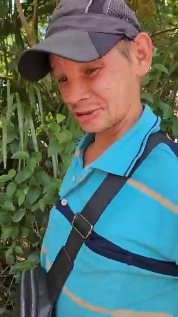 Побитый пёс