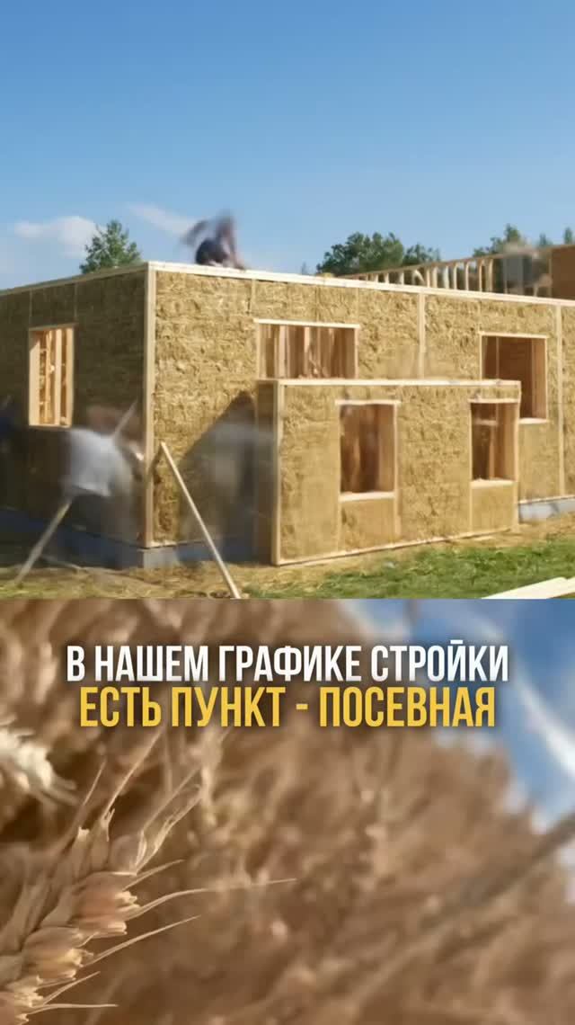 В графике стройки есть пункт «посевная». Это не опечатка