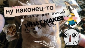 Биокапли для любимых питомцов🤗