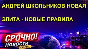 АНДРЕЙ ШКОЛЬНИКОВ НОВАЯ ЭЛИТА НОВЫЕ ПРАВИЛА