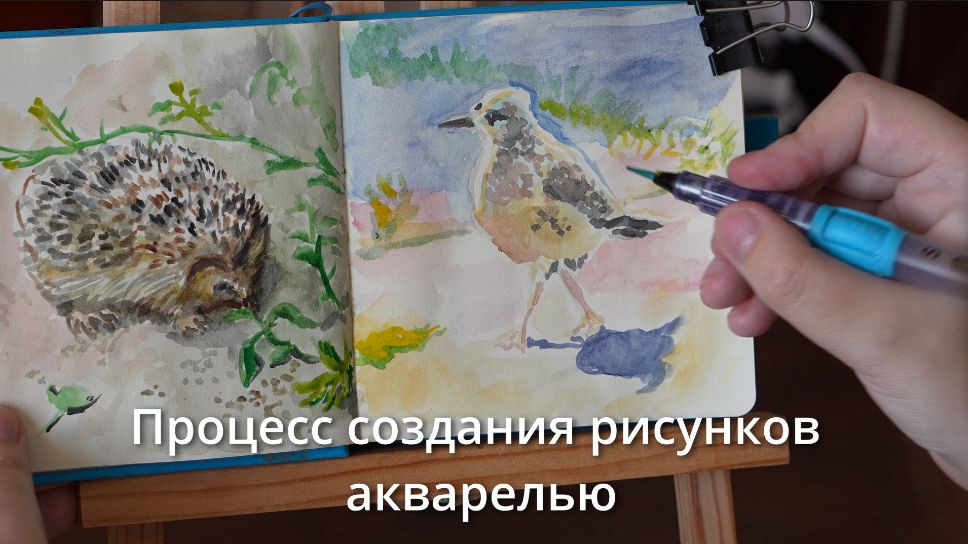 Рисую животных и природу акварелью | Арт-влог
