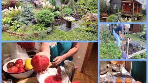 Хроника :, мои постройки на 4 сотках. Кручу аджику.