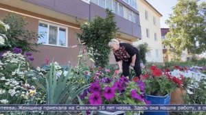 11.08.2026 Петунии, лилии, флоксы и ромашки: как жительница Южно-Сахалинска создаёт сад во дворе