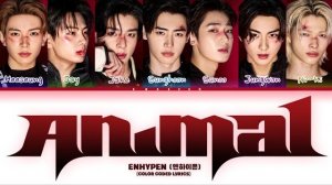 [AI COVER] How Would ENHYPEN (OT7) Sing «ANIMAL» By KATSEYE | Color Coded Lyrics