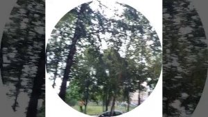 12-08-2026  ливень