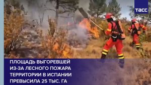 Площадь выгоревшей из-за лесного пожара территории в Испании превысила 25 тыс. га