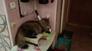 12.08.26. В городе ТРАУР. День чудес . Игрушки для Каси.