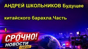 АНДРЕЙ ШКОЛЬНИКОВ Будущее китайского барахла.Часть 1