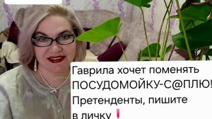 1 часть. Гаврила хочет поменять ПОСУДОМОЙКУ - С@ПЛЮ🤡❗️Претенденты, пишите в личку❗️