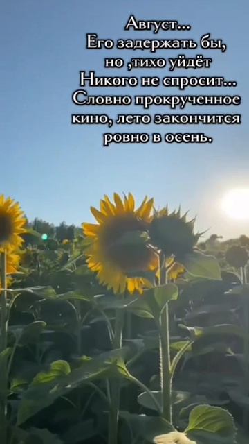 Лето💛
