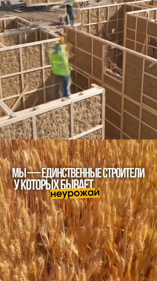 Представьте: материал для стен не покупают, а собирают с поля