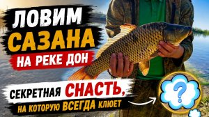 Ловим сазана на реке Дон!