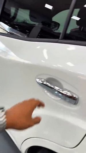 Nissan Paladin 2026-3