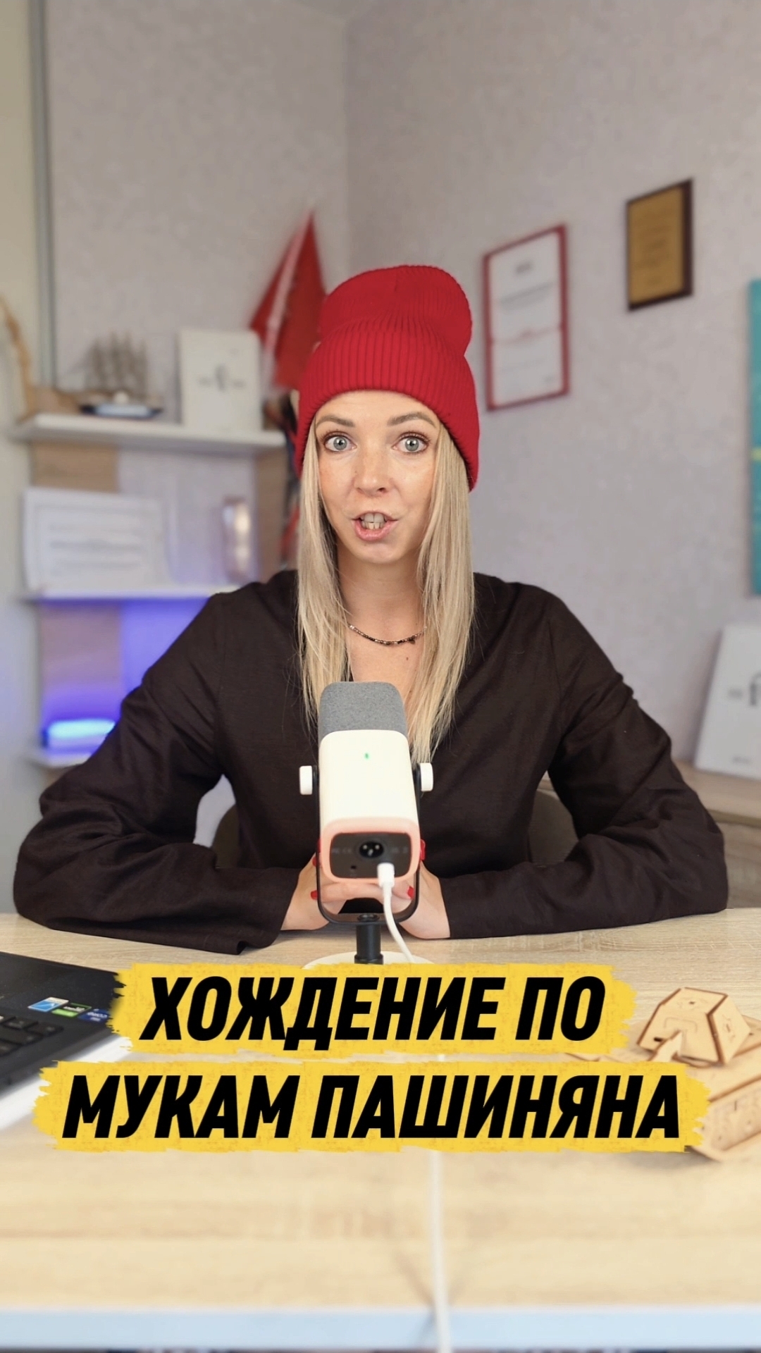 ХОЖДЕНИЕ ПО МУКАМ ПАШИНЯНА #Пашинян #Армения #МВШ #shorts