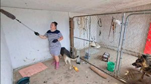 КАК ВЫЖИВАЮТ РУССКОЯЗЫЧНЫЕ НА ЗАГНИВАЮЩЕМ ЗАПАДЕ: ГЕНЕРАЛЬНАЯ УБОРКА В ИХ ДОМИКЕ.