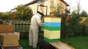Работа 17 и 18. Снимаю магазины с медом.