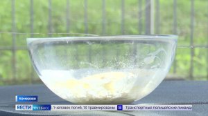 В жару противопоказано: корреспондент «Вестей» выяснил, что нельзя оставлять в салоне автомобиля