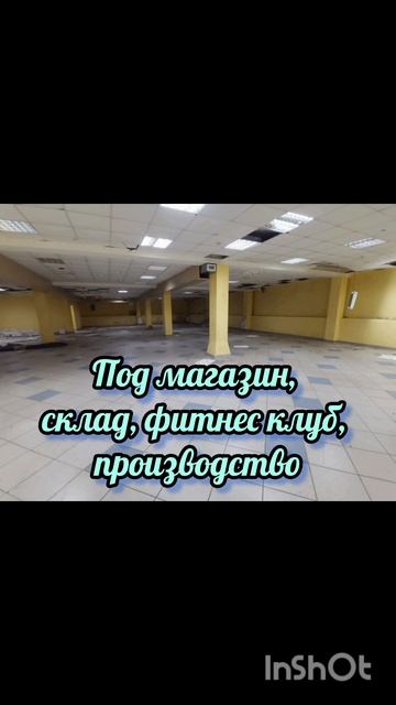 104861.mp4
