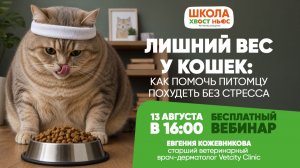 Бесплатный вебинар «Лишний вес у кошек: как помочь питомцу похудеть без стресса»