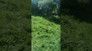 мы строим дом
