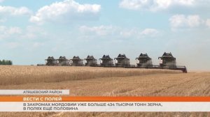 В закромах Мордовии уже больше 434 тысячи тонн зерна, в полях ещё половина
