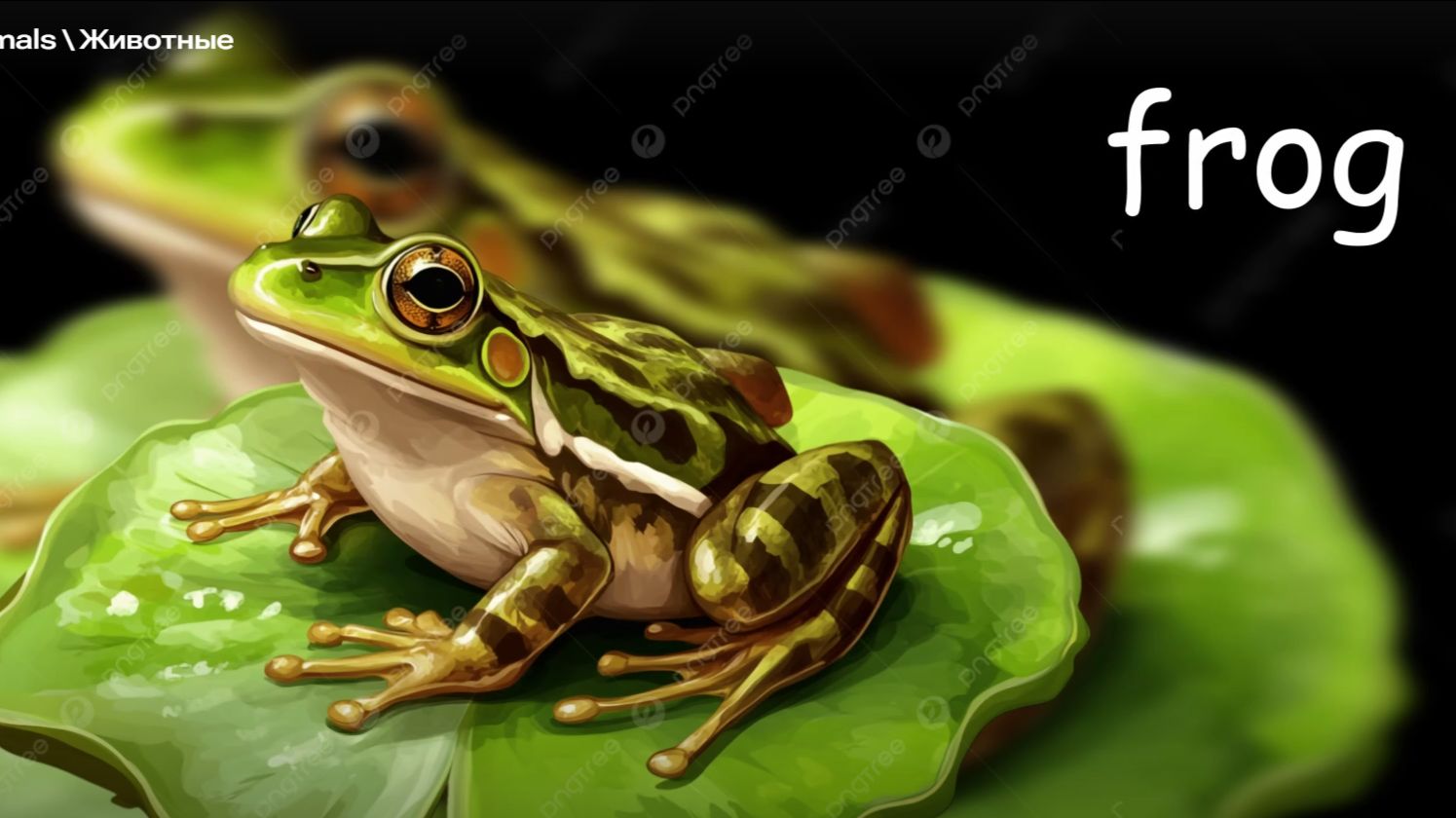 STARLIGHT 2 Animals \ Животные