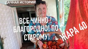 ДАЧНАЯ ИСТОРИЯ ! ВСЕ ЧИННО,БЛАГОРОДНО,ПО СТАРОМУ! ЖАРА 🔥 40