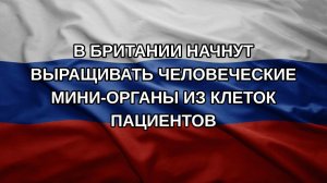 В Британии начнут выращивать человеческие мини-органы из клеток пациентов