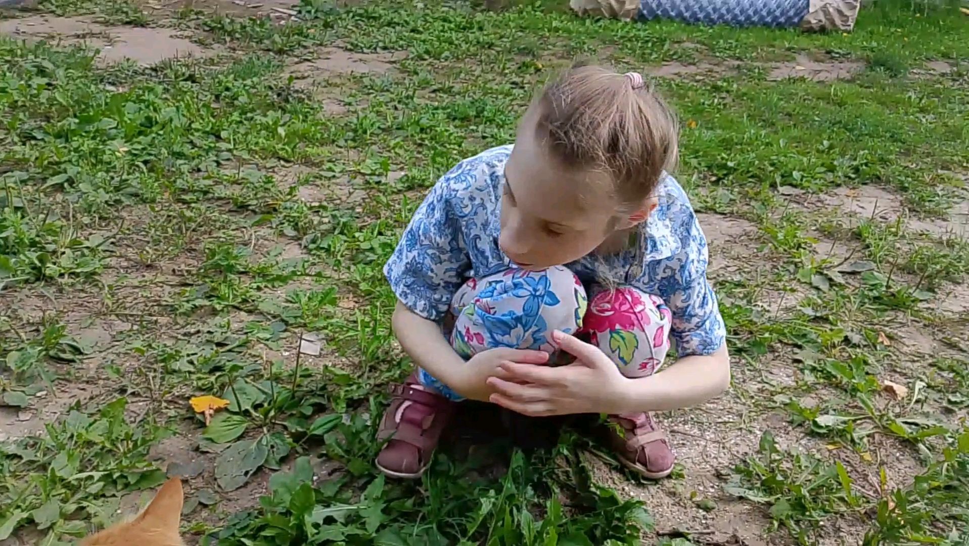 НА ДАЧЕ /  ЖИВОТНЫЕ