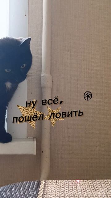 Пушистик и точка