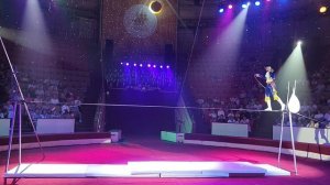 Воложанин Артур Михайлович. Жанр: Эквилибр на проволоке