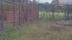 VOMH7726_11.08.2026-Видео от Светланы