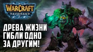 Древа Жизни Гибли Одно за Другим в Warcraft 3 Reforged
