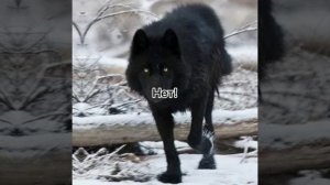 Ладно, Мавис я помогу (чит опис)