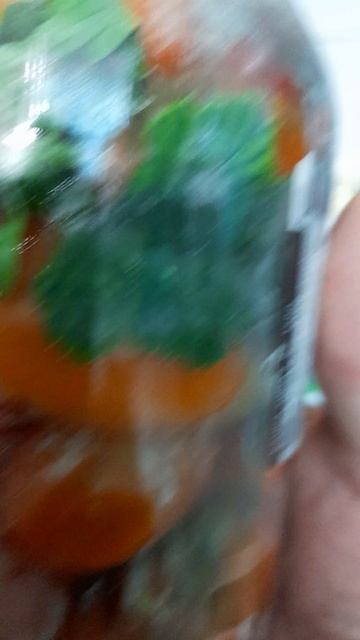 20260812_133435[1]