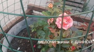 ЯРОСЛАВ ЛЕОНОВ**ГОСПОДОМ БОГОМ  ДАНА**КАКИЕ СЛОВА. АХ КАК КРУЖИТСЯ ГОЛОВА.