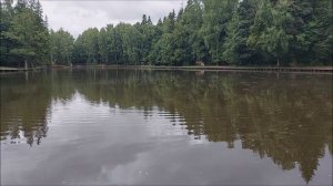 Утренний обзор с нижнего водоёма. Клёвое место, Лосиный остров.