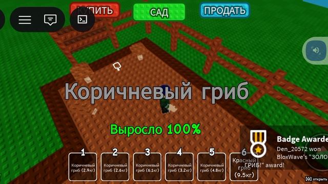 вырасти гриб 🍄