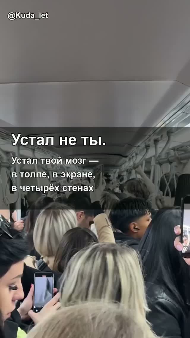 Устал не ты. Устал твой мозг в четырёх стенах